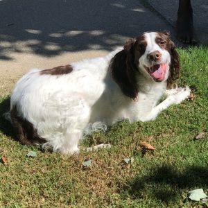 Meet your Posher, Karen